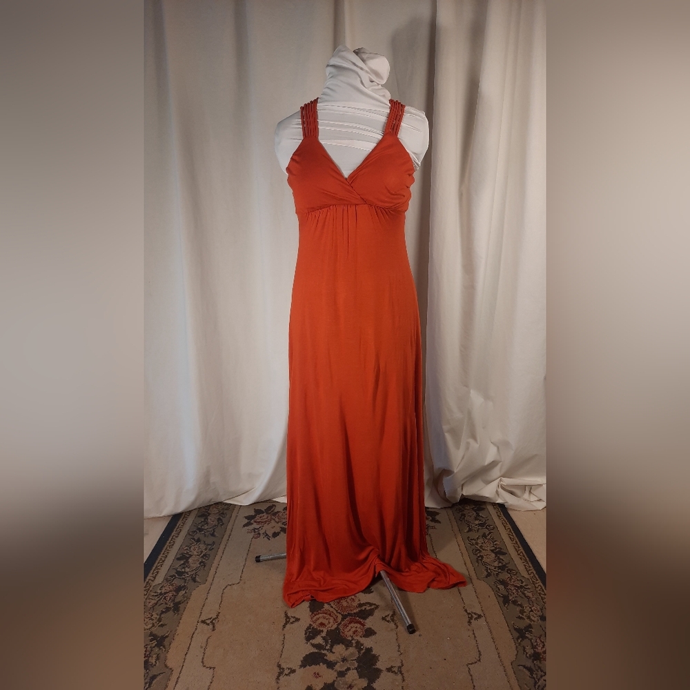 NWT Pink Rose Maxi Dress